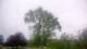Harriman, New York 15.06.2025 06:51