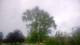 Harriman, New York 01.07.2025 06:51