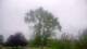 Harriman, New York 09.06.2025 06:51