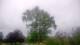 Harriman, New York 15.07.2025 06:51