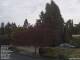 Son en Breugel 25.03.2025 07:46