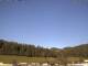 Neuenhof im Aargau 30.04.2025 07:52