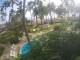 Cabarete 15.06.2025 07:46