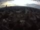 Guadalajara 14.06.2025 07:52