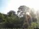 Audley 30.04.2025 07:53