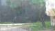 San Diego, California 04.07.2025 07:53