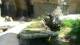 San Diego, California 08.05.2025 07:53