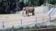 Escondido, California 08.05.2025 07:53