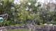 San Diego, California 30.04.2025 07:53