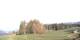 Radein 30.04.2025 07:53