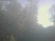 Ittigen 09.07.2025 07:46