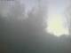 Ittigen 29.04.2025 07:46