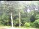 Hilversum 05.06.2025 07:54
