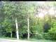 Hilversum 09.05.2025 07:54