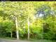 Hilversum 30.04.2025 07:54