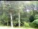 Hilversum 15.06.2025 07:53