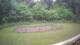 Tustin, Michigan 15.06.2025 07:53