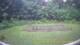 Tustin, Michigan 11.07.2025 07:53