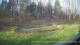 Tustin, Michigan 29.04.2025 07:54
