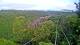 Kuranda 09.07.2025 07:53