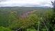 Kuranda 09.06.2025 07:54