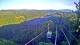 Kuranda 04.07.2025 07:53
