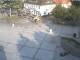 Bad Zwischenahn 15.06.2025 07:46