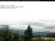 Birnbrunn 03.07.2025 07:53