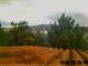 Pallini 30.04.2025 07:54