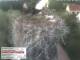 Aurach 15.06.2025 07:54