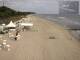 Heringsdorf (Usedom) 11.05.2025 07:54