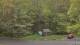 Bethlehem, Connecticut 05.05.2025 07:02