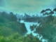 Linley Point 30.06.2025 07:54