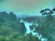 Linley Point 11.05.2025 07:55