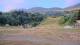 Montferrier 06.07.2025 07:56
