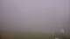 Montferrier 15.06.2025 07:56