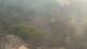 Grasse 30.04.2025 07:56