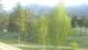 Barcelonnette 30.04.2025 07:56