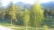 Barcelonnette 30.04.2025 07:56