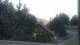 Crévoux 20.06.2025 07:56