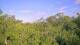 Metairie, Louisiana 15.06.2025 07:09