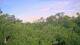 Metairie, Louisiana 30.04.2025 07:09