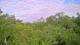 Metairie, Louisiana 11.05.2025 07:09