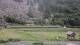 La Salle-les-Alpes 15.06.2025 07:57