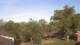 Trenton, New Jersey 30.04.2025 07:10