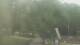 Fairview, Tennessee 15.06.2025 07:10