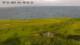 Søby (Ærø) 13.05.2025 07:58