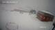 Nuuk 08.05.2025 07:58