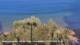 Cres 13.07.2025 07:47