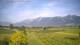 Feldkirch 15.06.2025 07:57